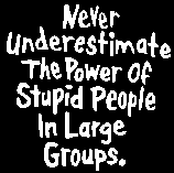 Never underestimate the power of stupid people in large groups.