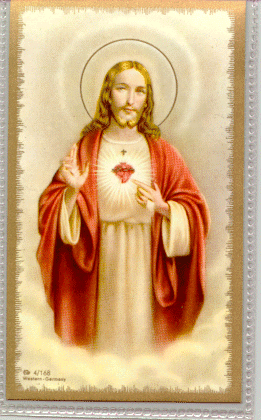 sared_heart2.gif (84929 bytes)