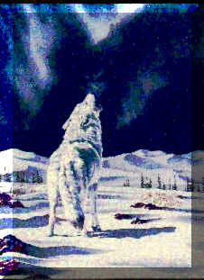 whitewhowl.jpg (20394 bytes)