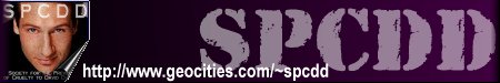 [SPCDD Banner]