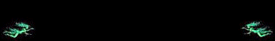 flyingzs.GIF (61k)