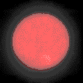 Fases da lua