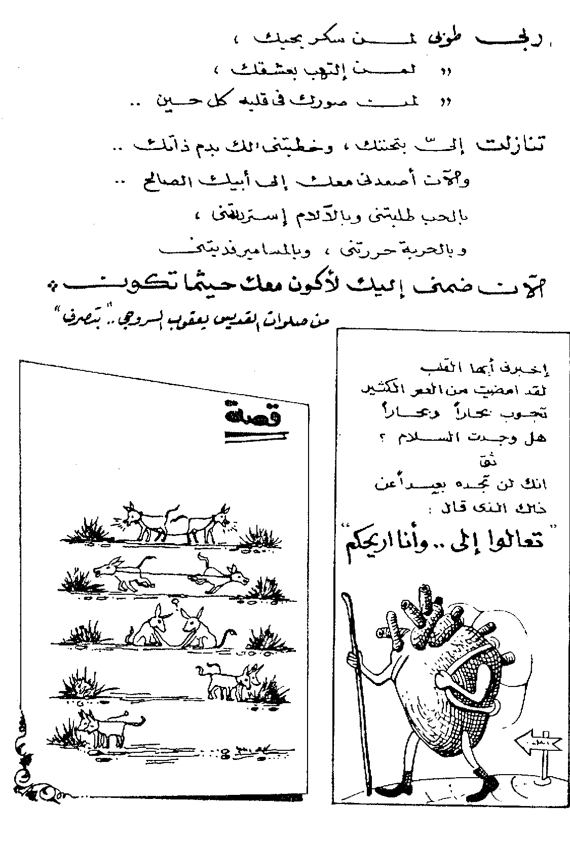 collec1.jpg (456976 bytes)