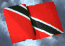 click_flag