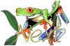 frognext.gif - 4.81 K