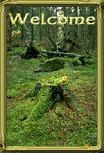 woodswel.gif - 29.58 K