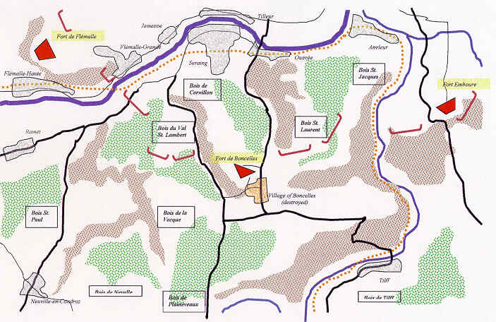 Sector C