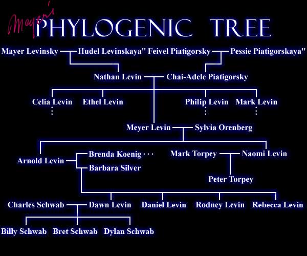Meyer's Family Tree