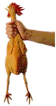 smile6.gif (2723 bytes)