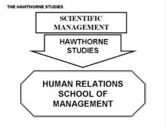 hawthorne12.JPG