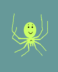 Spider B