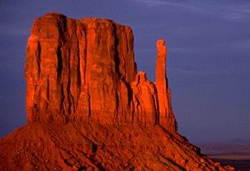 amsw.gif (36540 bytes)
