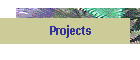 Projects