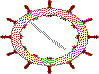 pexacto.GIF (1376 bytes)
