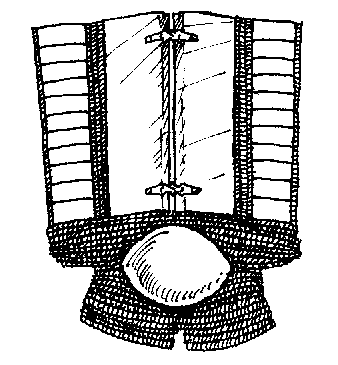 Cuise of Maile and Plates