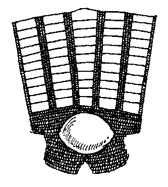 Cuise of Maile and Plates