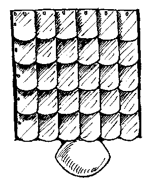 Scale Cuise