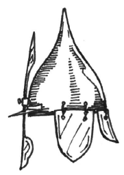 Shishak with ear plates