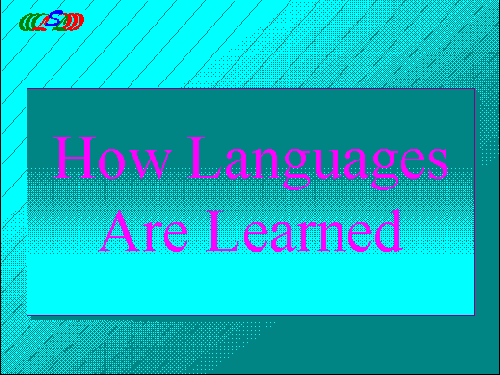 How Languages Are Learnt