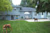 backyard.JPG (195950 bytes)