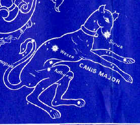 Canis Major