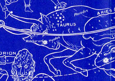 Taurus