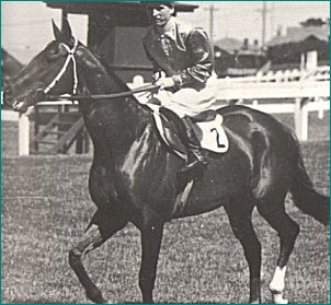 hall mark