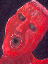 The Boxer