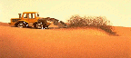 Desert or Dessert