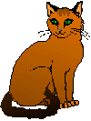 beautiful kitty