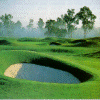 Golf Picture