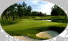 Golf Picture
