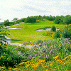 Golf Picture