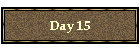 Day 15