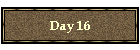 Day 16