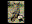 Great Horned Owl
