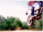 loy4.jpg