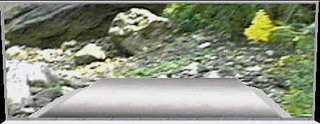 /user/view.gif