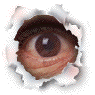 EYEFLASH.GIF (15346 bytes)