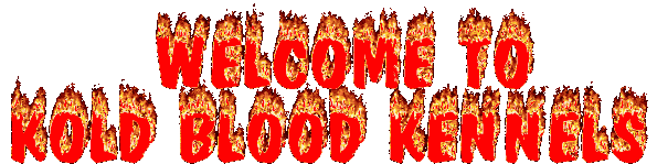WELCOME TO KOLD BLOOD KENNELS