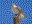 Ferruginous Hawk