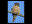 Northern Hawk Owl