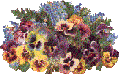 pansys5t.gif (4756 bytes)