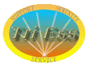 The Society for the Second Self