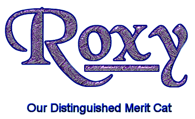 Roxy, Our Distinguished Merit Cat