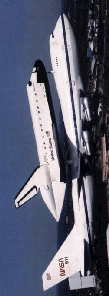 trnshttl.gif (25987 bytes)