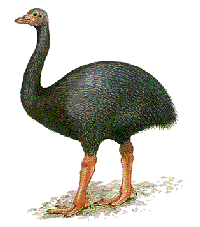 Trevor Boyer's depiction