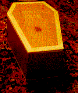 Kitty Coffin