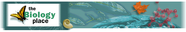 Access The Biology Place for additional practice.