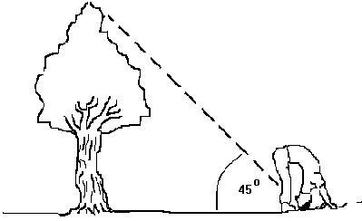 [demonstrating the method]